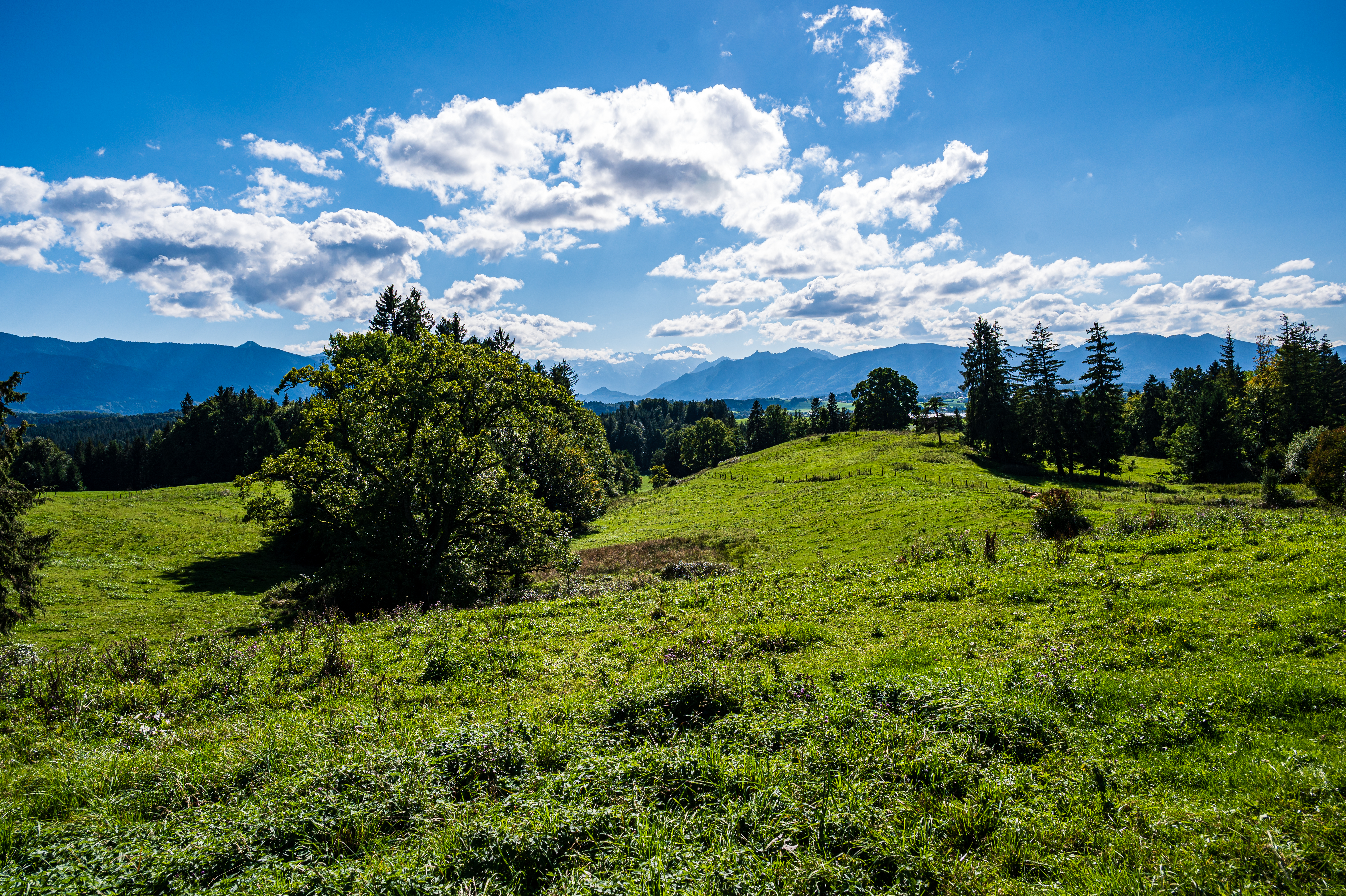 Wanderung Aidlinger Höhe